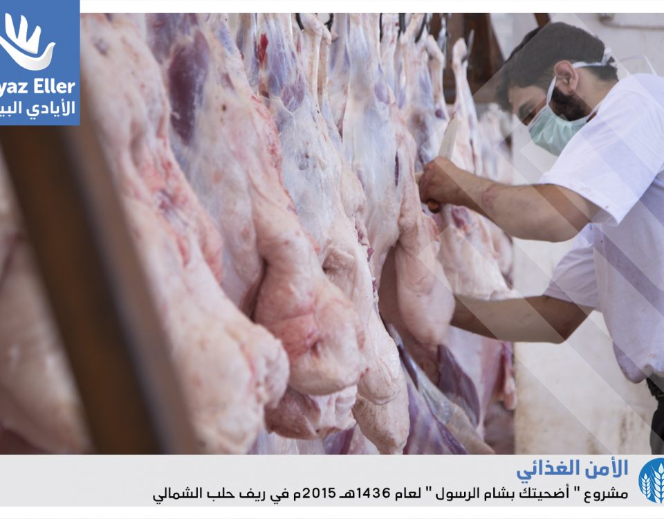 الأضاحي