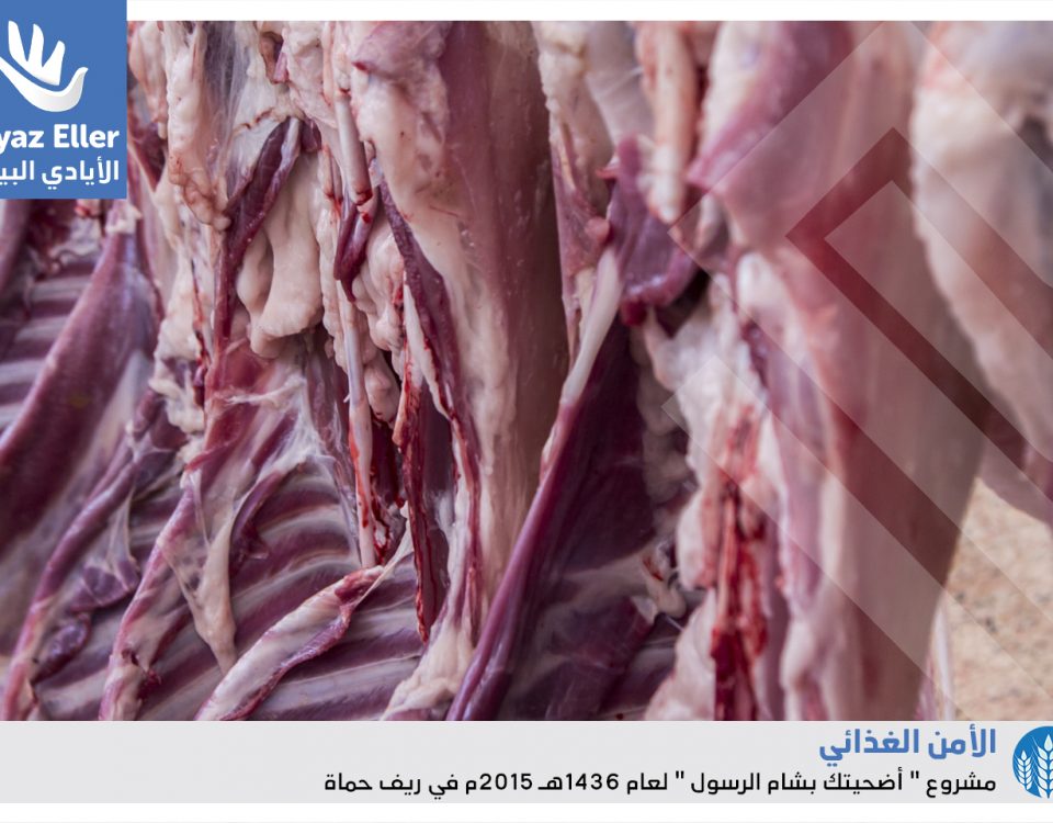 الأضاحي