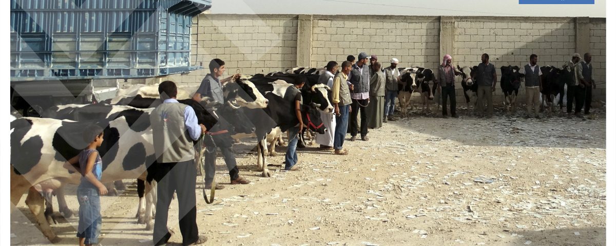 مشروع اكفهم السؤال في ريف حمص الشمالي