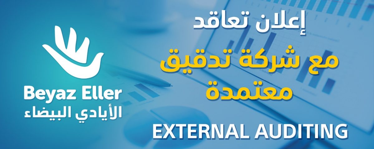 شركة تدقيق مالي