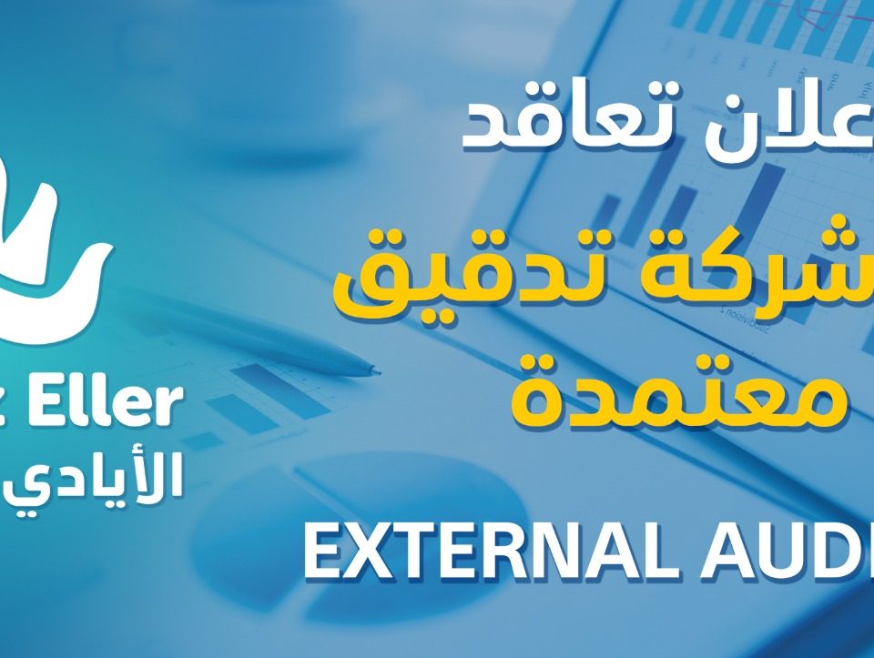 شركة تدقيق مالي